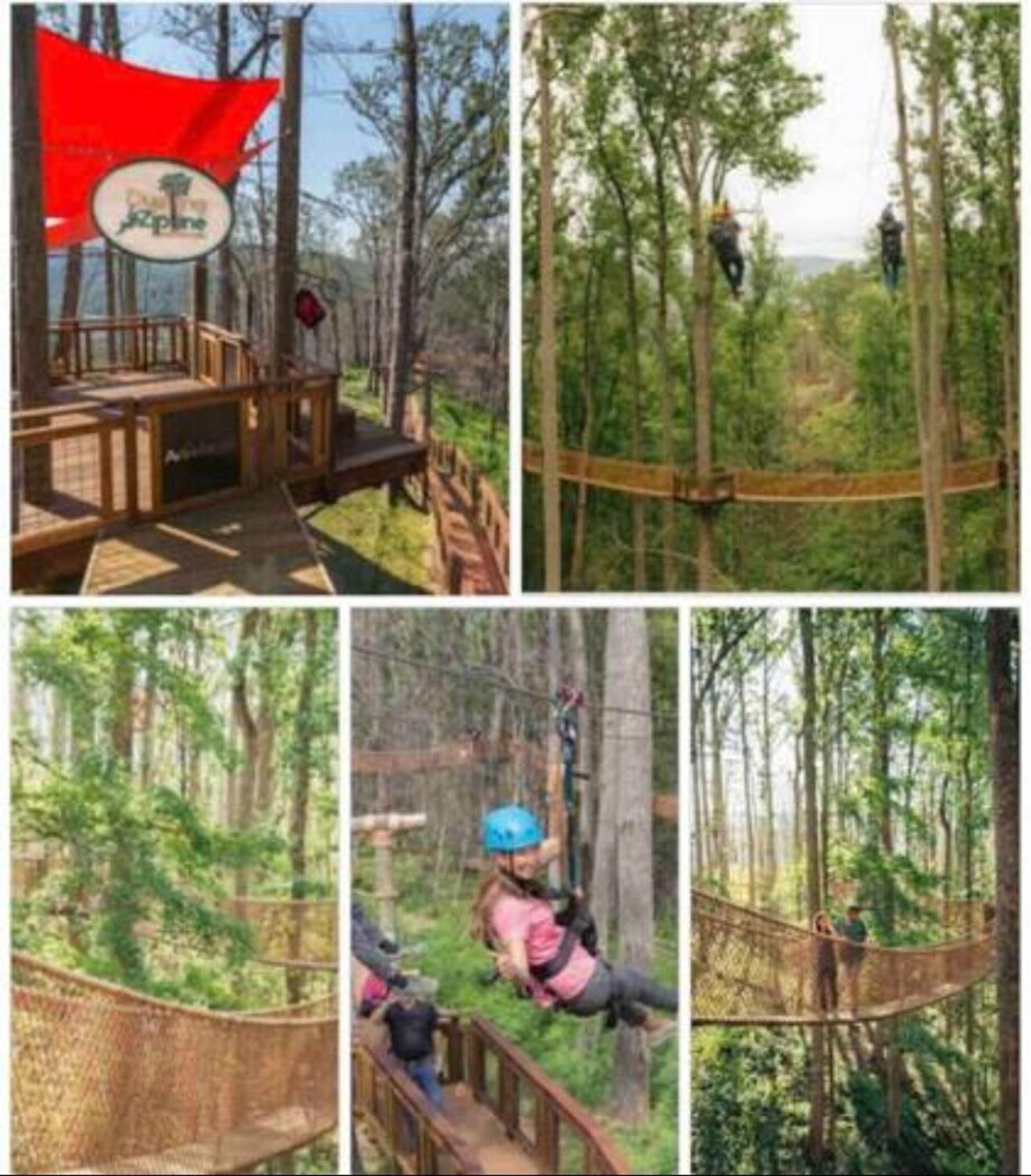 Luxurious Condo, Pool, Fireplace, Hiking Gatlinburg Exterior foto